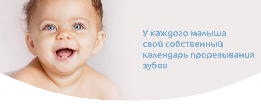Календарь прорезывания зубов