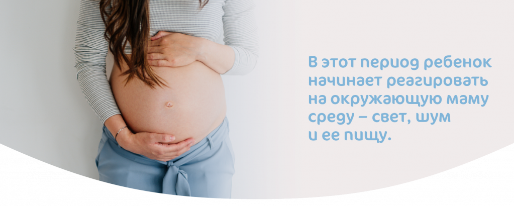 Ребенок реагирует на третьем триместре беременности
