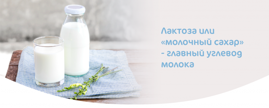 Лактоза или молочных сахар