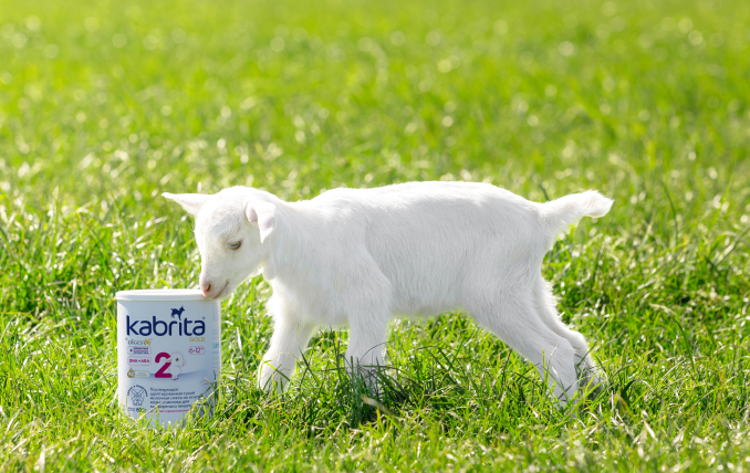 Козленок рядом с банкой смеси Kabrita на козьем молоке