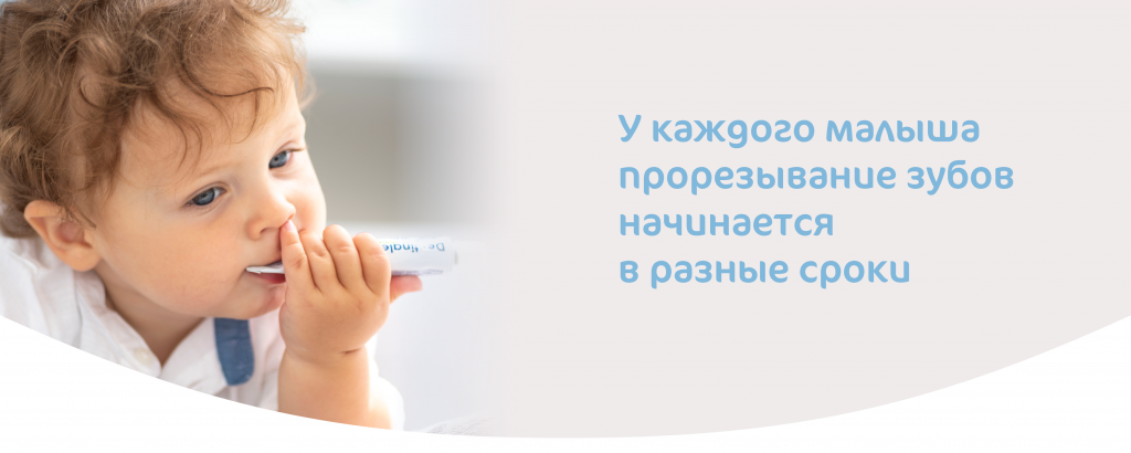 Сроки прорезывания зубов